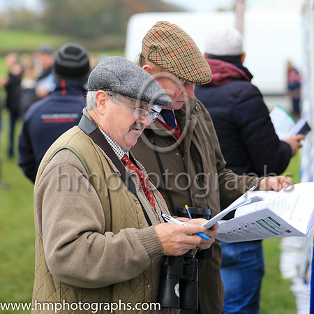 Trankie Fitzsimmons of the Turf Club checking the runners and riders at Loughanmore Poiint to Point