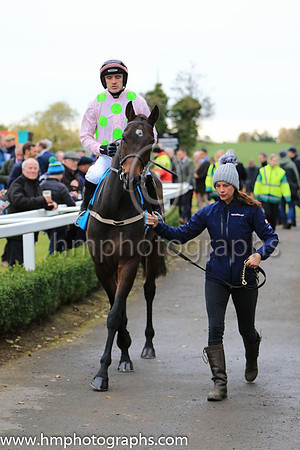 03rd Sharjah and R Walsh ( 3 , pink, light green stars ) Trainer - W P Mullins , Owner - Mrs S Ricci