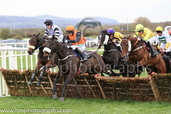 01st Brosna George and P Townend ( 6 , Orange, black sleeves ) Trainer - A L T Moore , Owner - R G Cullen  Tony Kilduff