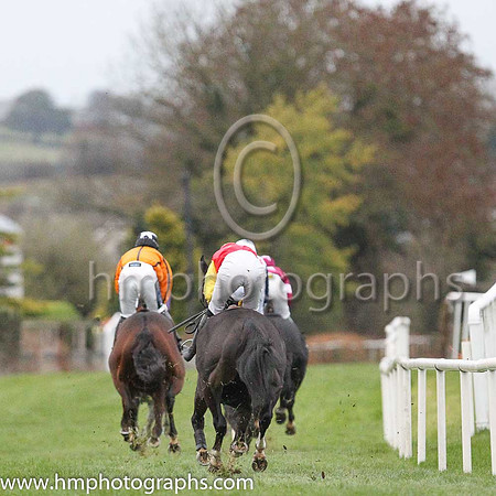 Autumn colours at Down Royal