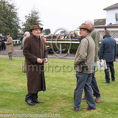 Parade ring at Down Royal