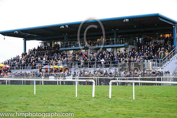 Grandstand at Down Royal