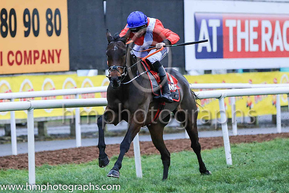01st Malone Road and Mr J J Codd ( 7 , Red, white sash ) Trainer - G Elliott , Owner - Cheveley Park Stud