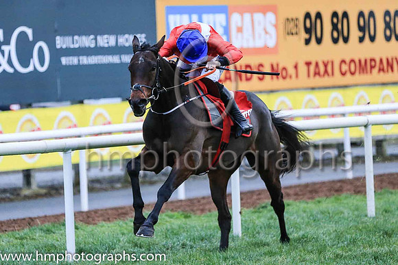 01st Malone Road and Mr J J Codd ( 7 , Red, white sash ) Trainer - G Elliott , Owner - Cheveley Park Stud