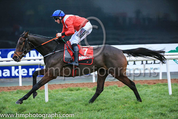 01st Malone Road and Mr J J Codd ( 7 , Red, white sash ) Trainer - G Elliott , Owner - Cheveley Park Stud