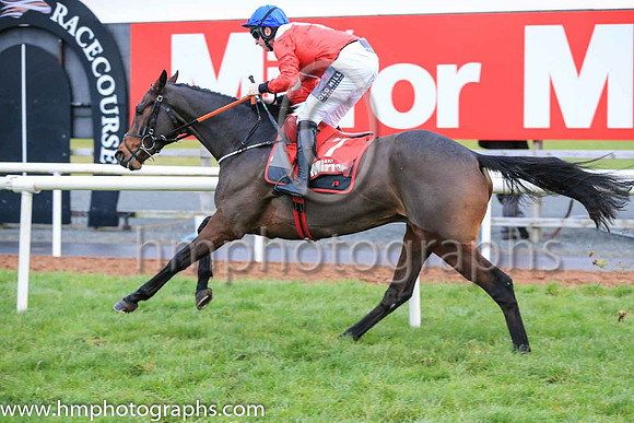 01st Malone Road and Mr J J Codd ( 7 , Red, white sash ) Trainer - G Elliott , Owner - Cheveley Park Stud