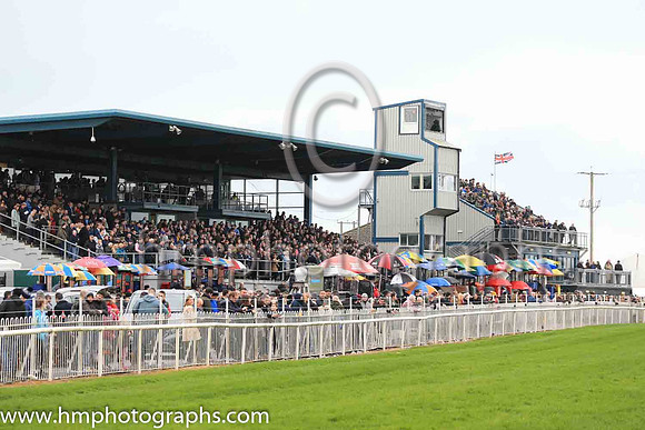 Down Royal on Jnwine.com Champion Chase Day