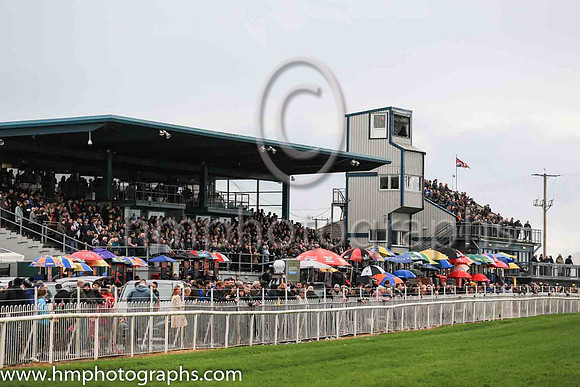 Down Royal on Jnwine.com Champion Chase Day