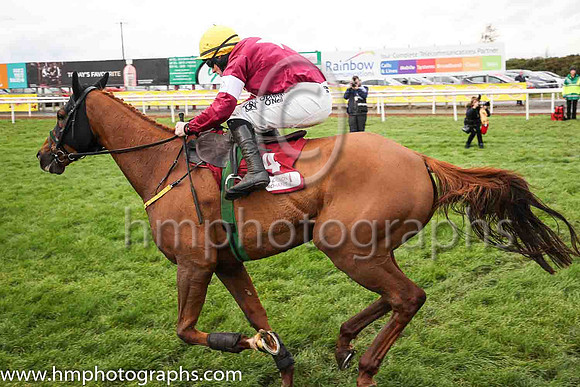 01st Road To Respect and S W Flanagan ( 4 , maroon, white star ) Trainer - N Meade , Owner - Gigginstown House Stud