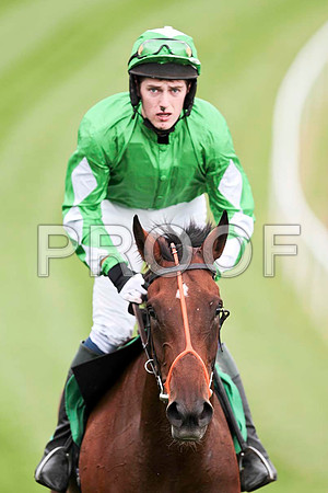 Rowanville Lady - 6th , Jockey J S McGarvey  - CU2D9509-e
