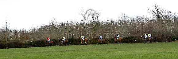 Mr Homer in the lead - FT8E9991-e