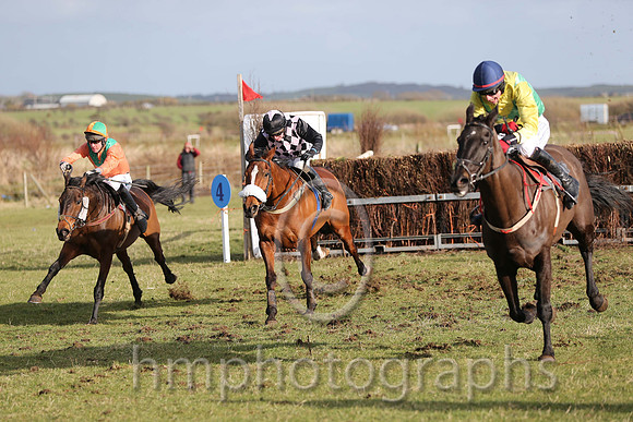 01 Mr Bolt  D H Lavery - Trainer : Sean McParlan, Black and tan check