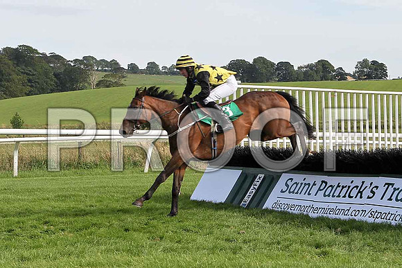 Rossgavand 12th, Jockey T C  Carroll- FT8E3124-e
