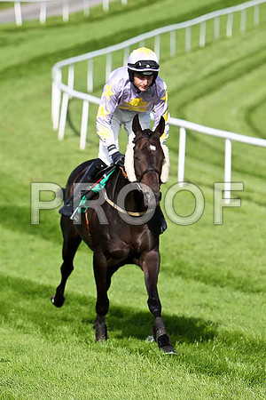 Ameno 7th, Jockey S W Jackson- CU2D1787-e