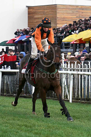 Killyglen , Jockey Paul Carberry - 5th - CU2D1129-e2