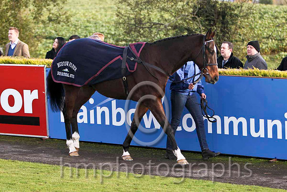 Moscow Flyer at Down Royal - FT8E8036-e