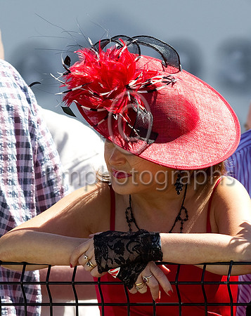 Ladies Day at the Down Royal Specsavers 2 for 1 Ulster Derby  - FT8E1241-e23a4j