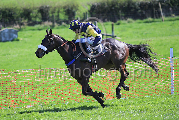01st SHANROE AL C and J C Barry ( 7 , DARK BLUE,yellow hollow box; dark blue  yellow hlvd sleeves; dark blue cap,yellow diamond ) Trainer: Karl Thornton , Owner : Brian Smyth