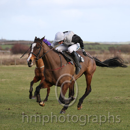 01 Ballyarthur  Derek O'Connor - Trainer : Colin S McKeever, Black and white qtrd