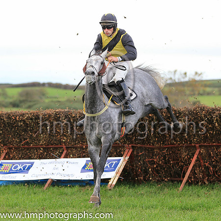 01st MINIMUM MIX (GB) and J J Walsh ( 3 , YELLOW,black sash; black sleeves; black cap,yellow star ) Trainer: John Edward Walsh,, Owner : John Edward Walsh