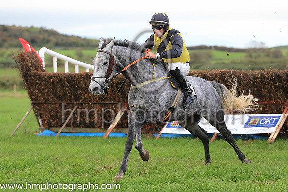 01st MINIMUM MIX (GB) and J J Walsh ( 3 , YELLOW,black sash; black sleeves; black cap,yellow star ) Trainer: John Edward Walsh,, Owner : John Edward Walsh