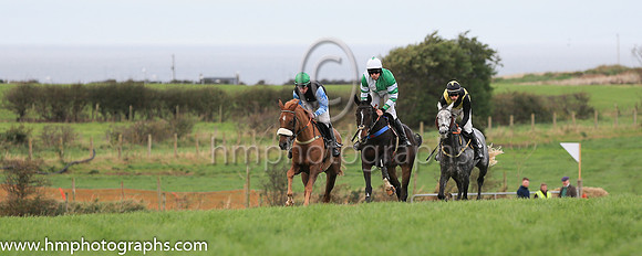 01st MINIMUM MIX (GB) and J J Walsh ( 3 , YELLOW,black sash; black sleeves; black cap,yellow star ) Trainer: John Edward Walsh,, Owner : John Edward Walsh