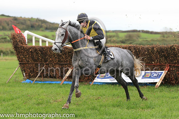 01st MINIMUM MIX (GB) and J J Walsh ( 3 , YELLOW,black sash; black sleeves; black cap,yellow star ) Trainer: John Edward Walsh,, Owner : John Edward Walsh