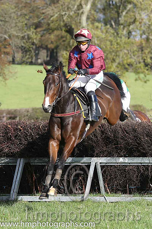 06 Drumconnor and J McKeown - PU - 06th (7 ,maroon, royal blue stars ) Trainer - J J Lambe