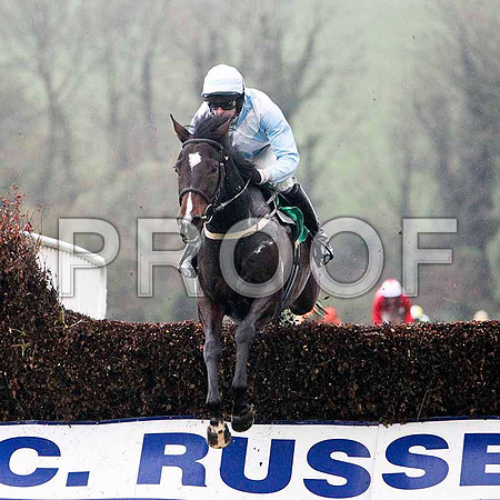 Strolling Home , 3rd - Jockey A P Thornton - FT8E5394-e