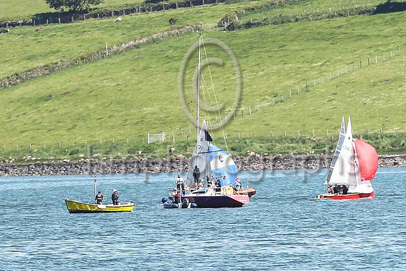 16th, Bronze , 13466, Denis Cuiy & Matthew Street, Blessington Sailing Club - 17, (18) , 12, 14, 15, 11 - Total = 87, Nett = 69 - 14th in race 4, race 1 of day 2