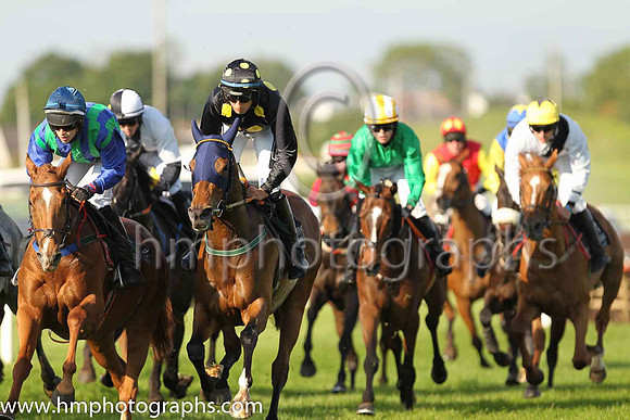 08th Serpolette and E. Walsh(5) (8 ,black, yellow spots ), Trainer:E. D. Delany , Owner:Mrs Diane Flanagan/Mrs Lisa Delany