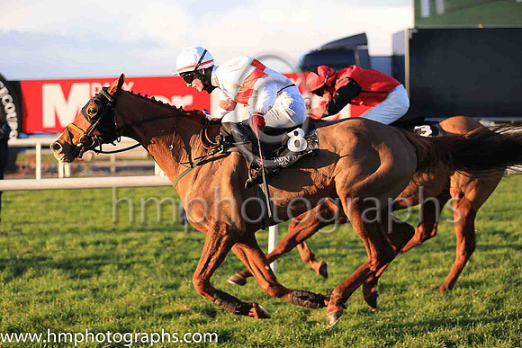 01st Tiger Sam and D Meyler ( 8 , white, red hoop ) Trainer - N Meade , Owner - Noel Meade