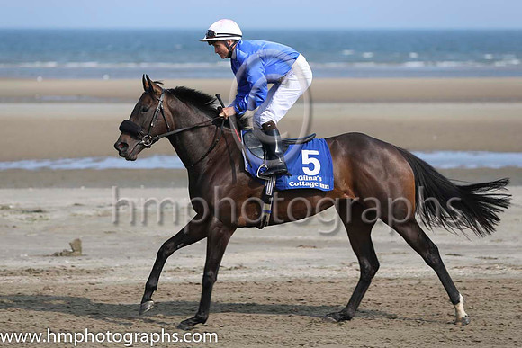 3 Acting Talent and N G McCullagh - - 3rd (5 ,royal blue, white cap ) Trainer - M C Grassick