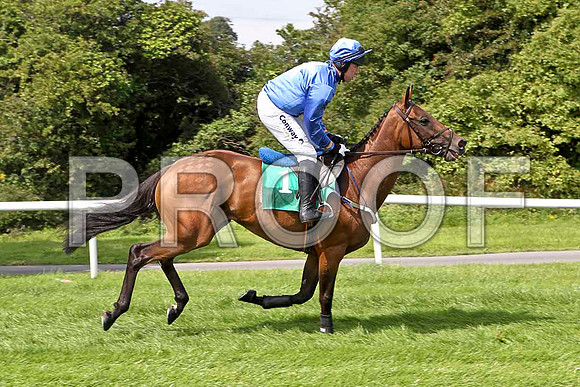 Benefit of Porter Winner, Jockey A E Lynch - FT8E2873-e