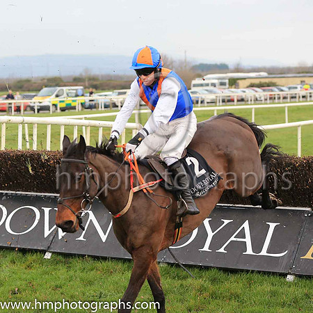 09th Drummullagh Rocky and S G McDermott ( 2 , royal blue, orange chevron ) Trainer - S McParlan , Owner - Martin Ward