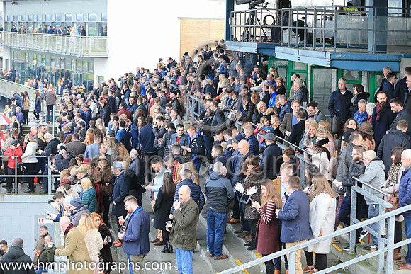Large crowd at Down Royal on Boxing Day 2018
