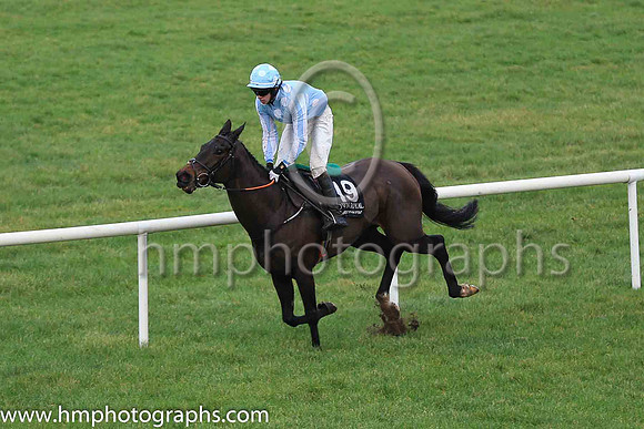 01st Sinoria and D Robinson 3 ( 19 , light blue, white spots ) Trainer - H De Bromhead , Owner - Kenneth Alexander