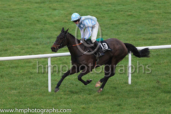 01st Sinoria and D Robinson 3 ( 19 , light blue, white spots ) Trainer - H De Bromhead , Owner - Kenneth Alexander