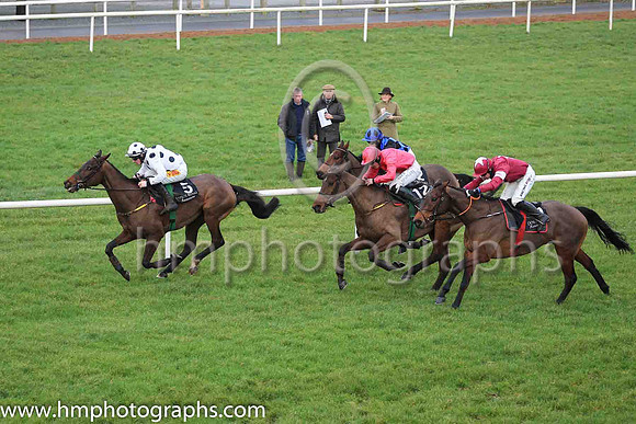 02nd Calicojack and S W Flanagan ( 5 , white, black spots ) Trainer - N Meade , Owner - J Hunt