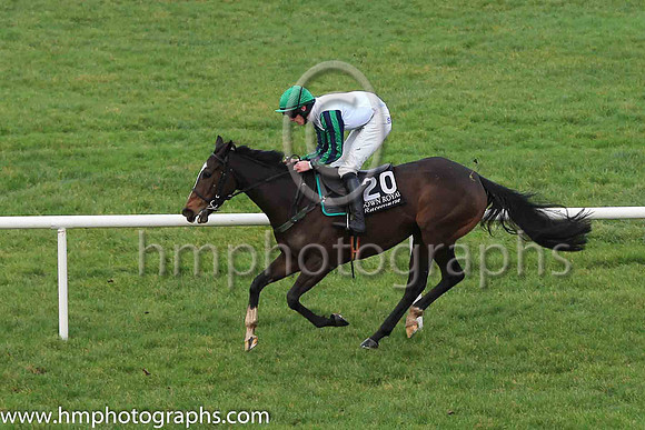 12th Walking In Memphis and D P Maxwell 7 ( 20 , white, dark blue and emerald green striped sleeves ) Trainer - J G Cosgrave , Owner - Neville Reid