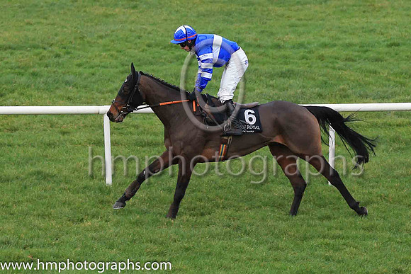 15th Galardo and S J Gray 3 ( 6 , royal blue, white hoop ) Trainer - E J O?Grady , Owner - John A McNally
