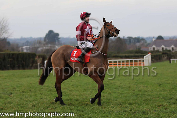 09th Generalisation and Mr B O'Neill ( 1 , maroon, white star ) Trainer - H De Bromhead , Owner - Gigginstown House Stud
