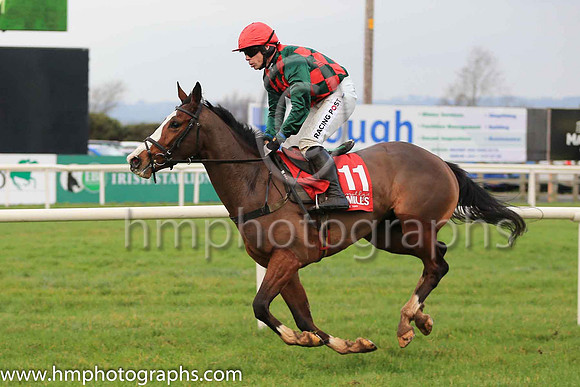 10th Some Day Jemima and D F O?Regan ( 11 , dark green and red diamonds ) Trainer - L P Cusack , Owner - Mrs John Lyttle  Charles Lyttle