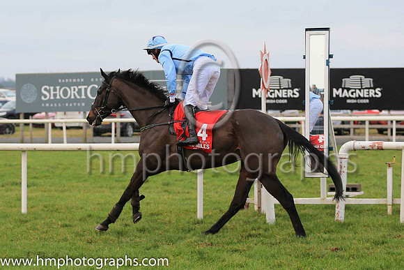 11th Golan Warrior and Mr R A Devine 7 ( 4 , light blue, dark blue seams ) Trainer - S R B Crawford , Owner - S R B Crawford