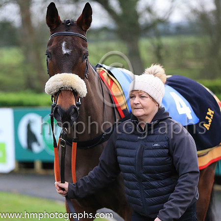 04th Hero?s Welcome and E O?Connell 4 ( 4 , orange and green hoops ) Trainer - A J Martin , Owner - John P McManus