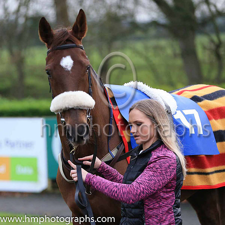 08th Piranto and J C Canavan 4 ( 17 , royal blue, white hoop ) Trainer - S Wilson , Owner - McNally Racing Syndicate