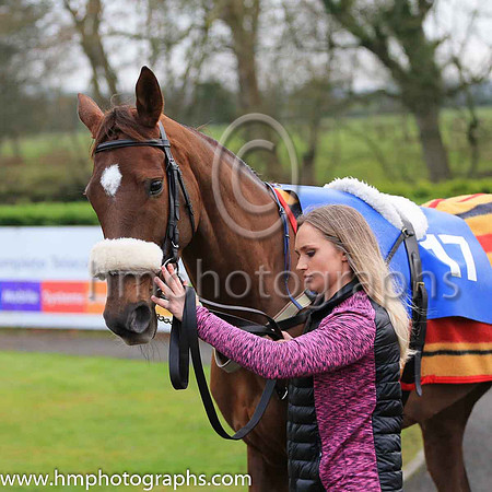 08th Piranto and J C Canavan 4 ( 17 , royal blue, white hoop ) Trainer - S Wilson , Owner - McNally Racing Syndicate