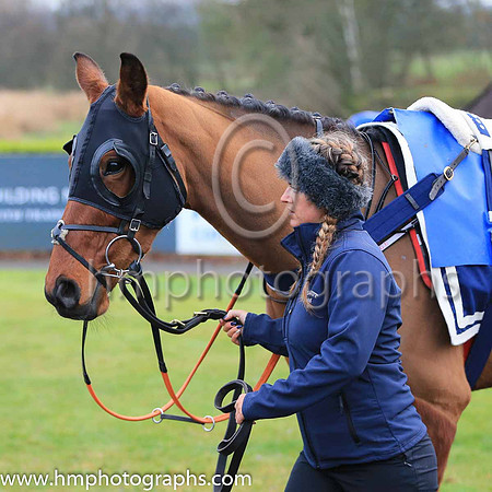 09th Holy Motivation and J R Wildman 4 ( 6 , black, mauve panel ) Trainer - G Elliott , Owner - Pioneer Racing