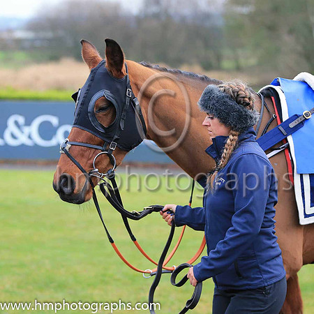 09th Holy Motivation and J R Wildman 4 ( 6 , black, mauve panel ) Trainer - G Elliott , Owner - Pioneer Racing