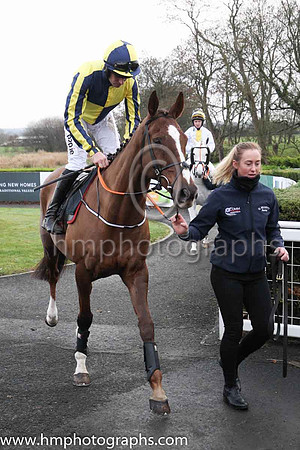 03rd Kruzhlinin and Mr B O?Neill ( 7 , dark blue and yellow qtrd ) Trainer - G Elliott , Owner - Paul A Rooney  Mrs Clare Rooney